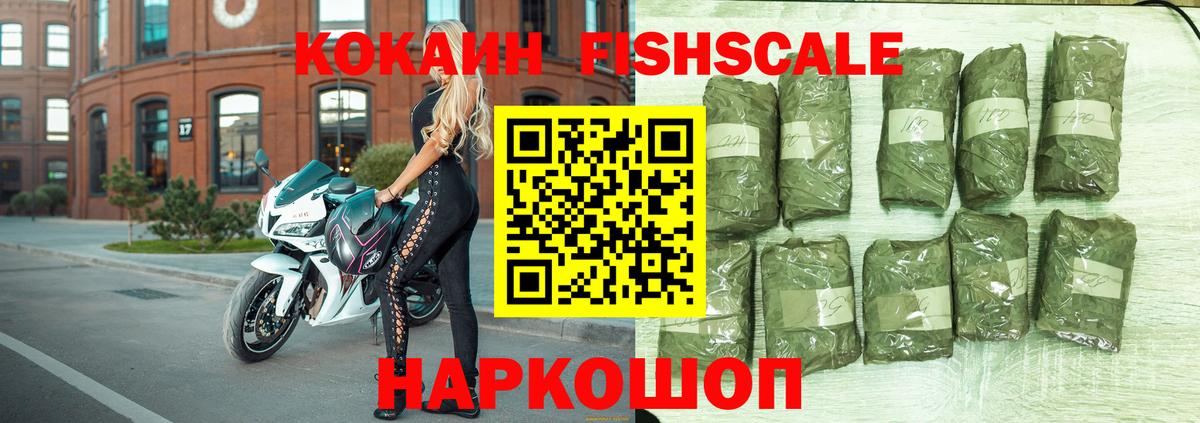 COCAIN Fish Scale  Вход с VPN  Камышин  COCAIN Эквадор 