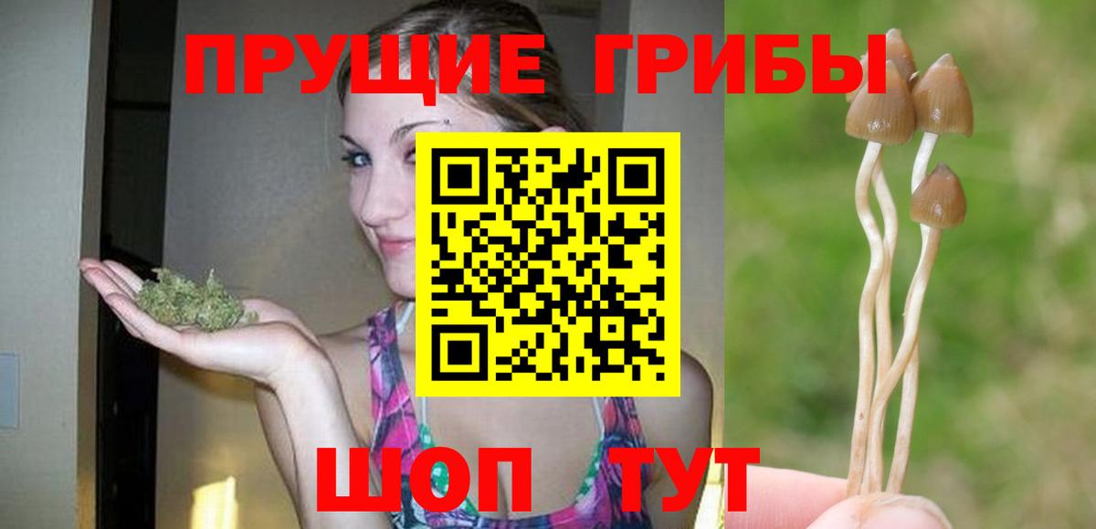 Галлюциногенные грибы MAGIC MUSHROOMS  Вход с VPN  Камышин 